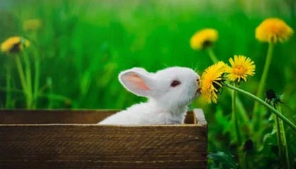 泉州伴游,定制QQ:3494206190微信:act1322